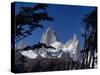 Santa Cruz Province, Cerro Fitzroy, in the Los Glaciares National Park, Framed by Trees, Argentina-Fergus Kennedy-Stretched Canvas