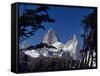 Santa Cruz Province, Cerro Fitzroy, in the Los Glaciares National Park, Framed by Trees, Argentina-Fergus Kennedy-Framed Stretched Canvas