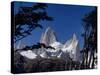 Santa Cruz Province, Cerro Fitzroy, in the Los Glaciares National Park, Framed by Trees, Argentina-Fergus Kennedy-Stretched Canvas