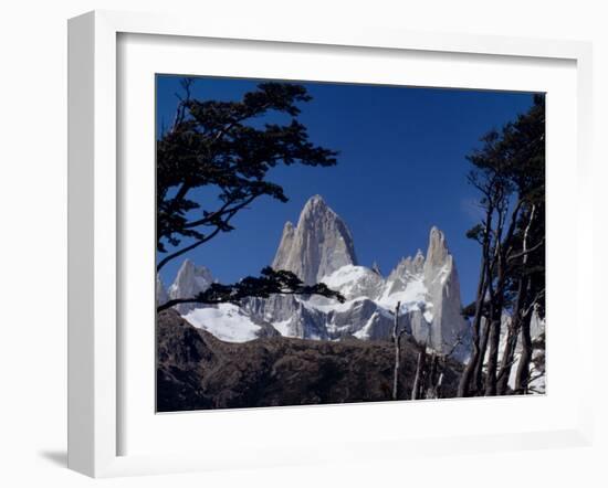 Santa Cruz Province, Cerro Fitzroy, in the Los Glaciares National Park, Framed by Trees, Argentina-Fergus Kennedy-Framed Photographic Print
