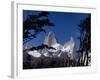 Santa Cruz Province, Cerro Fitzroy, in the Los Glaciares National Park, Framed by Trees, Argentina-Fergus Kennedy-Framed Photographic Print