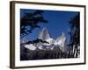 Santa Cruz Province, Cerro Fitzroy, in the Los Glaciares National Park, Framed by Trees, Argentina-Fergus Kennedy-Framed Photographic Print