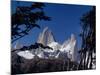 Santa Cruz Province, Cerro Fitzroy, in the Los Glaciares National Park, Framed by Trees, Argentina-Fergus Kennedy-Mounted Photographic Print