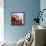 Santa Delivering-The Macneil Studio-Framed Stretched Canvas displayed on a wall