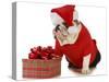 Santa Dog - English Bulldog Dressed Like Santa Sitting Beside Christmas Present-Willee Cole-Stretched Canvas