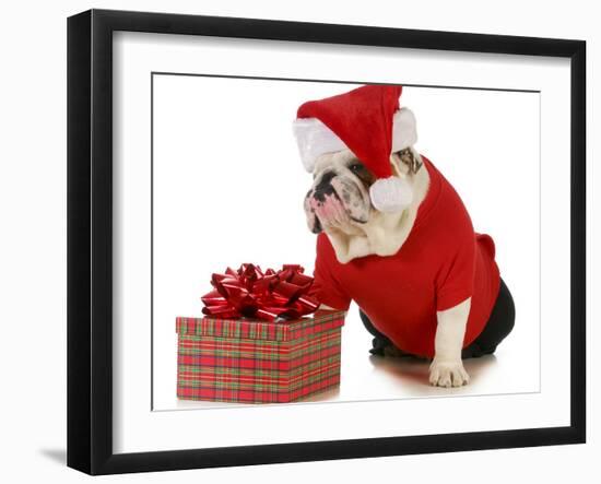 Santa Dog - English Bulldog Dressed Like Santa Sitting Beside Christmas Present-Willee Cole-Framed Photographic Print