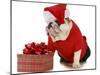 Santa Dog - English Bulldog Dressed Like Santa Sitting Beside Christmas Present-Willee Cole-Mounted Photographic Print