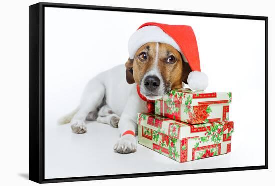 Santa Dog-Javier Brosch-Framed Stretched Canvas