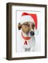 Santa Dog-Javier Brosch-Framed Photographic Print