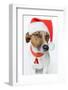 Santa Dog-Javier Brosch-Framed Photographic Print