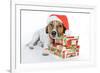 Santa Dog-Javier Brosch-Framed Photographic Print