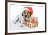 Santa Dog-Javier Brosch-Framed Photographic Print