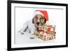 Santa Dog-Javier Brosch-Framed Photographic Print