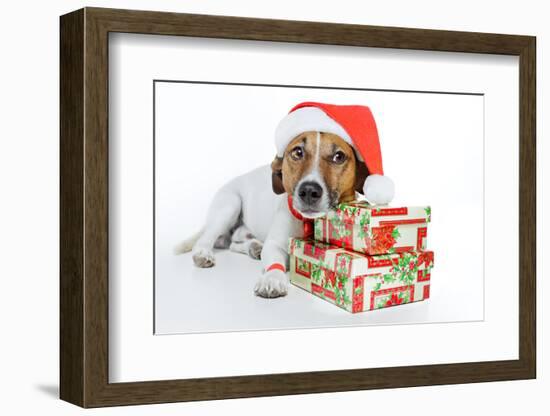 Santa Dog-Javier Brosch-Framed Photographic Print
