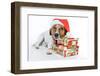 Santa Dog-Javier Brosch-Framed Photographic Print