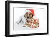 Santa Dog-Javier Brosch-Framed Photographic Print