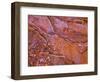 Santa Elena Canyon Abstract, Big Bend National Park-Mallorie Ostrowitz-Framed Photographic Print