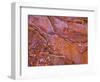 Santa Elena Canyon Abstract, Big Bend National Park-Mallorie Ostrowitz-Framed Photographic Print