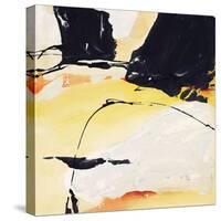 Santa Fe 1-Chris Paschke-Stretched Canvas