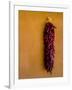 Santa Fe, New Mexico. Dried Red Chili Peppers and a Terra Cotta wall.-Jolly Sienda-Framed Photographic Print