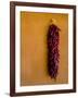 Santa Fe, New Mexico. Dried Red Chili Peppers and a Terra Cotta wall.-Jolly Sienda-Framed Photographic Print