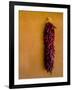 Santa Fe, New Mexico. Dried Red Chili Peppers and a Terra Cotta wall.-Jolly Sienda-Framed Photographic Print