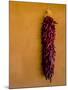 Santa Fe, New Mexico. Dried Red Chili Peppers and a Terra Cotta wall.-Jolly Sienda-Mounted Photographic Print