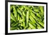 Santa Fe, New Mexico. Farmers Market Selling Local Chilies-Julien McRoberts-Framed Photographic Print