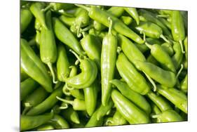 Santa Fe, New Mexico. Farmers Market Selling Local Chilies-Julien McRoberts-Mounted Photographic Print