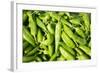 Santa Fe, New Mexico. Farmers Market Selling Local Chilies-Julien McRoberts-Framed Photographic Print