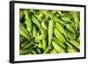 Santa Fe, New Mexico. Farmers Market Selling Local Chilies-Julien McRoberts-Framed Photographic Print