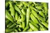 Santa Fe, New Mexico. Farmers Market Selling Local Chilies-Julien McRoberts-Stretched Canvas