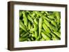 Santa Fe, New Mexico. Farmers Market Selling Local Chilies-Julien McRoberts-Framed Photographic Print