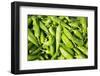 Santa Fe, New Mexico. Farmers Market Selling Local Chilies-Julien McRoberts-Framed Photographic Print