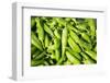 Santa Fe, New Mexico. Farmers Market Selling Local Chilies-Julien McRoberts-Framed Photographic Print