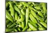 Santa Fe, New Mexico. Farmers Market Selling Local Chilies-Julien McRoberts-Mounted Photographic Print