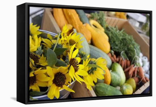 Santa Fe, New Mexico Farmers Market-Julien McRoberts-Framed Stretched Canvas