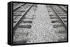 Santa Fe, New Mexico. Rail Yard District-Julien McRoberts-Framed Stretched Canvas