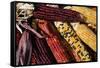 Santa Fe, New Mexico, USA. Dried Indian corn.-Julien McRoberts-Framed Stretched Canvas