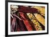 Santa Fe, New Mexico, USA. Dried Indian corn.-Julien McRoberts-Framed Photographic Print