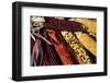 Santa Fe, New Mexico, USA. Dried Indian corn.-Julien McRoberts-Framed Photographic Print