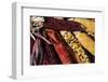 Santa Fe, New Mexico, USA. Dried Indian corn.-Julien McRoberts-Framed Photographic Print