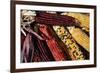 Santa Fe, New Mexico, USA. Dried Indian corn.-Julien McRoberts-Framed Premium Photographic Print