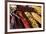 Santa Fe, New Mexico, USA. Dried Indian corn.-Julien McRoberts-Framed Premium Photographic Print