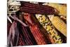 Santa Fe, New Mexico, USA. Dried Indian corn.-Julien McRoberts-Mounted Premium Photographic Print