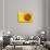 Santa Fe, New Mexico, USA of a yellow sunflower.-Julien McRoberts-Stretched Canvas displayed on a wall