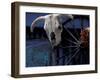 Santa Fe, New Mexico, USA-Judith Haden-Framed Photographic Print