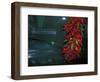 Santa Fe, New Mexico, USA-Judith Haden-Framed Photographic Print