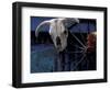 Santa Fe, New Mexico, USA-Judith Haden-Framed Photographic Print