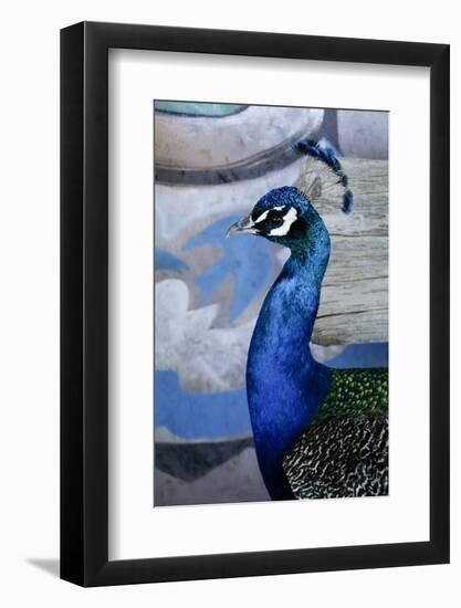 Santa Fe, New Mexico, USA.-Julien McRoberts-Framed Photographic Print